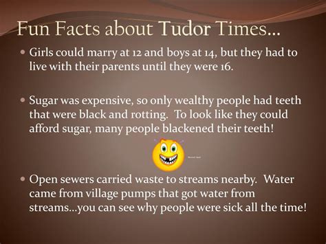 weird facts about the tudors|interesting facts about the tudor times.